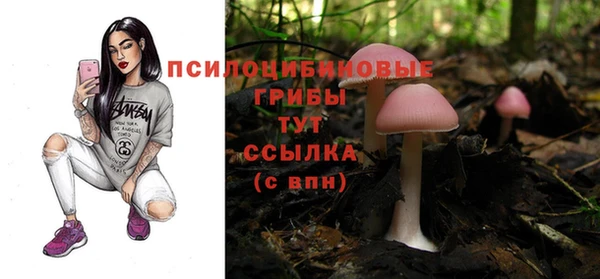 амф Остров