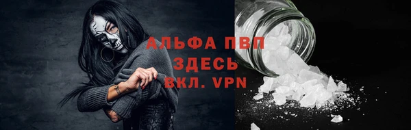 дживик Осинники