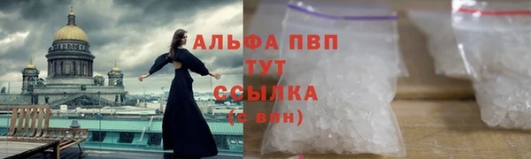 дживик Осинники