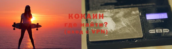 дживик Осинники